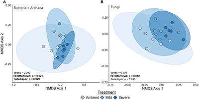 Severe and mild drought cause distinct phylogenetically linked shifts in the blue grama (Bouteloua gracilis) rhizobiome